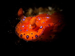 At night under the jetty by Mark Reilly 